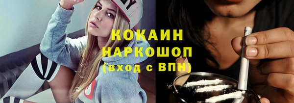 прущий лед Алзамай