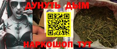 сатива Шебекино