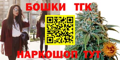сатива Шебекино