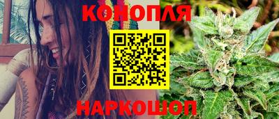 сатива Шебекино